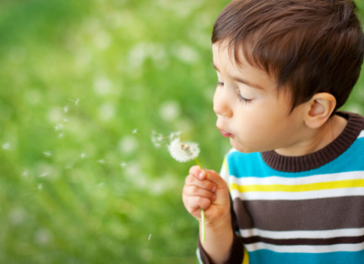 Blow a dandelion make a wish